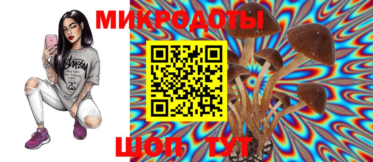 Галлюциногенные грибы GOLDEN TEACHER Северобайкальск