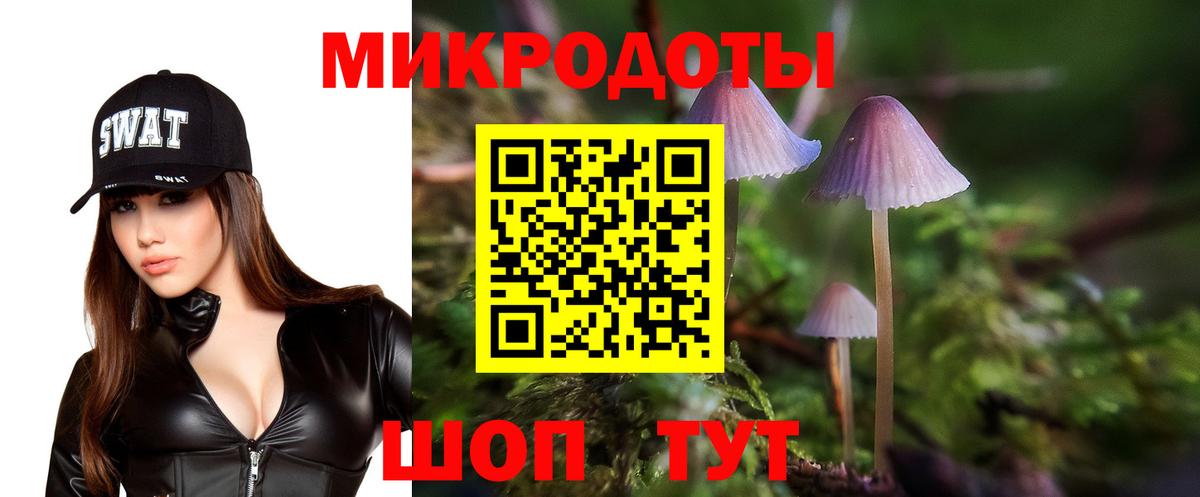 Северобайкальск  Галлюциногенные грибы мухоморы  Вход с VPN  Псилоцибиновые грибы прущие грибы 